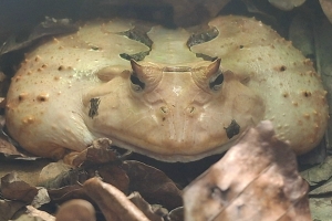 Омский детский экоцентр сообщил о повышении цен на билеты с мая