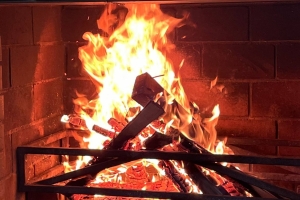 В Омской области за сутки произошло почти 60 пожаров