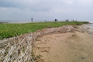 Отпуск рядом: 5 удивительных локаций Омской области вместо дальнего маршрута