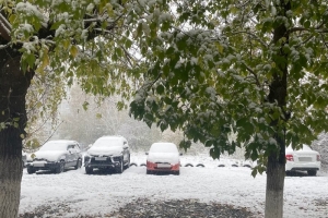 В Омске хотят чаще штрафовать автомобилистов, которые паркуются на газонах. Но для этого нет ресурсов