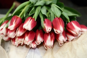 Из центра Омска съехал один из старейших цветочных магазинов 