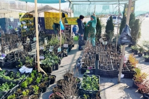 Ярмарка «Весенний сад» развернется на двух площадках Омска