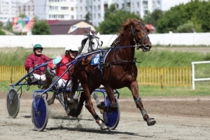 Омский ипподром открывает летний беговой сезон 2026 года