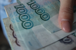 В Омской области снизились цены на сладкий перец, роботы-пылесосы и путевки в Китай