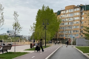 В Омске на Центральном пляже у Ленинградского моста снесли еще почти 30 деревьев