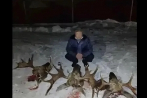 Нашли по бутылке и по фото на фоне убитых зверей: в Омской области будут судить пятерых браконьеров