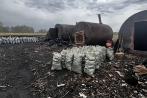 В заказнике под Омском организовали незаконное производство древесного угля