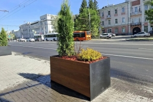 Вместо молодых яблонь на Гагарина в центре Омска ставят кашпо с растениями