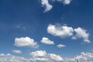 Дожди, грозы и до +35°: синоптики рассказали о погоде в Омской области на ближайшие дни