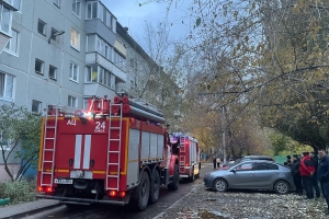 86 детей погибли на пожарах в Омской области за последние 10 лет