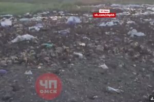 «Окна не открыть»: жители Ачаирского страдают из‑за свалки испорченных продуктов