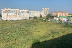 Омичи пожаловались на гигантский бурьян с аллергенами рядом с детским садом