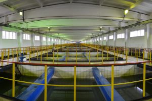 Более 12 млн кубометров воды подал омский водоканал в июне