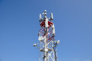 В старинном дендропарке под Омском «МегаФон» усилил связь