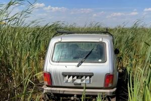 Пропавший пенсионер из Омской области погиб на болотах