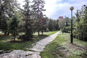 В Ленинском округе Омска хотят обустроить экопарк с уличным кинотеатром и кафе