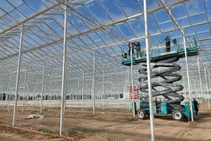 Виталий Хоценко рассказал, как в Омской области реализуется крупный тепличный проект