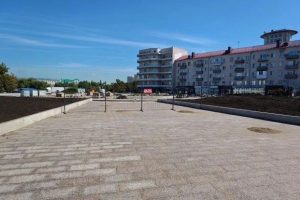 Площадь Бухгольца в центре Омска украсит спирея японская