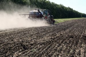 Омские аграрии могут оформить землю под растениеводство и сенокошение в четырех районах