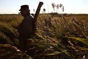 В Омской области проведут жеребьевку на добычу 206 лосей