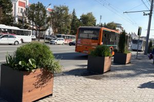 Кашпо с туями из центра Омска убирают до весны