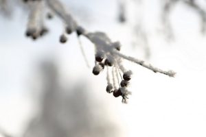Синоптики прогнозируют похолодание и снег в Омской области