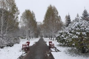 Циклон принесет в Омскую область мокрый снег и дожди