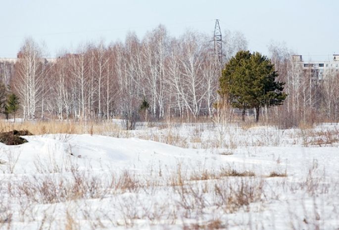 План парка 300 летия омска