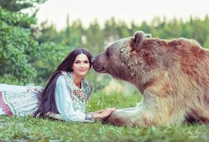 Чему снится медведь женщине замужней большой
