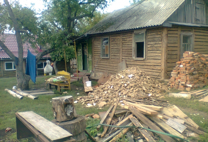 В Омской области «черного лесоруба» насмерть придавило деревом