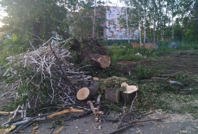 «Заросшие аллеи, выкорчеванные деревья» — омич пожаловался на удручающий вид парка 30-летия ВЛКСМ, где идет скандальная стройка