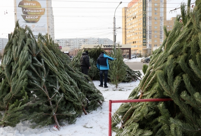 Названы адреса первых елочных базаров в центре Омска