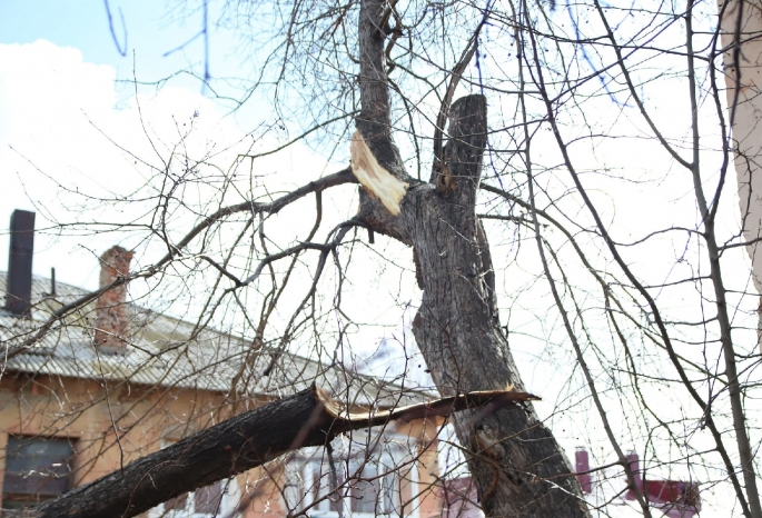 Сильный ветер и мокрый снег: В Омской области ожидается ухудшение погодных условий 