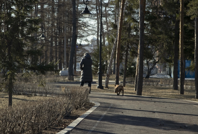 Омичи пожаловались на грязь и горы земли в парке 300-летия, которые остались после стихийной стоянки