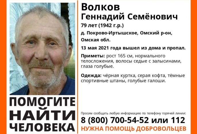В деревне под Омском пропал 79-летний пенсионер