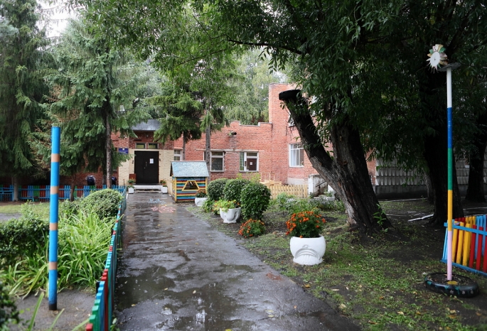 Суд обязал омские детский сад № 94 и школу № 26 спилить ветки аварийных деревьев 