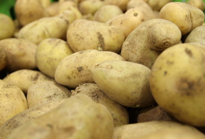 Из-за низкой урожайности в Омске стремительно дорожает картофель, а из-за роста себестоимости - хлеб