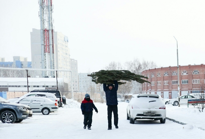 В Ленинском округе Омска откроется лишь 8 елочных базаров из 22 запланированных
