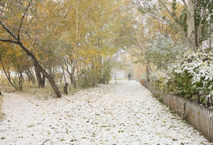 Гидрометцентр: Омскую область ожидает аномально холодная погода