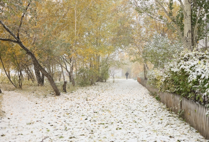 Гидрометцентр омск