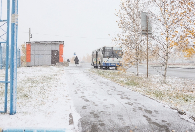 С 1 января в Омске повысят предельный тариф на проезд в автобусах, трамваях и троллейбусах