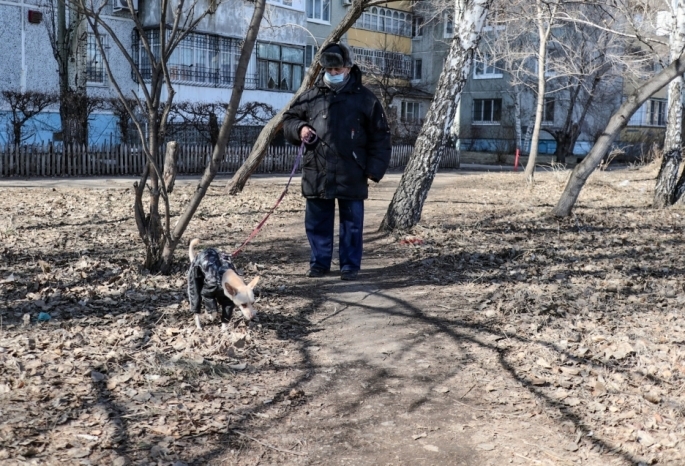 Омская мэрия разрешила выгуливать собак в парках и скверах и запретила делать это на детских площадках