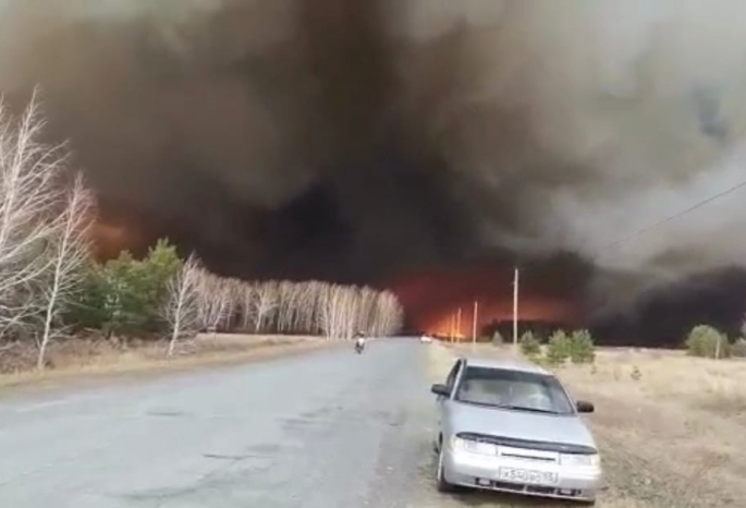 В Омской области сильнейший пожар - горели сосновый бор и детский лагерь (фото, видео)