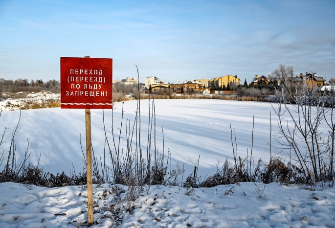 В судебных спорах по омском дендросаду поставлена точка — экоактивисты проиграли борьбу за его целостность