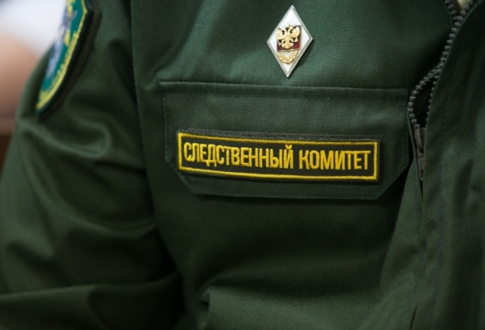 Омские следователи проводят проверку после пропажи 13-летней Веры Шалаевой