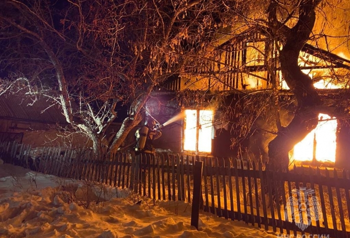 В Омской области во время пожара погибли трое детей