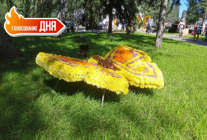 В Омске «Флору» предлагают перенести из центра города на «Зеленый остров». Поддерживаете? (голосование)