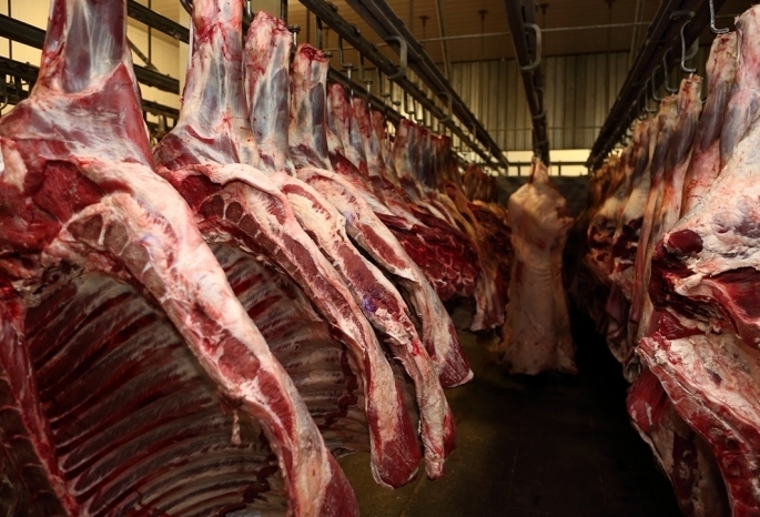 В Омске продавали мясо с повышенным содержанием антибиотиков