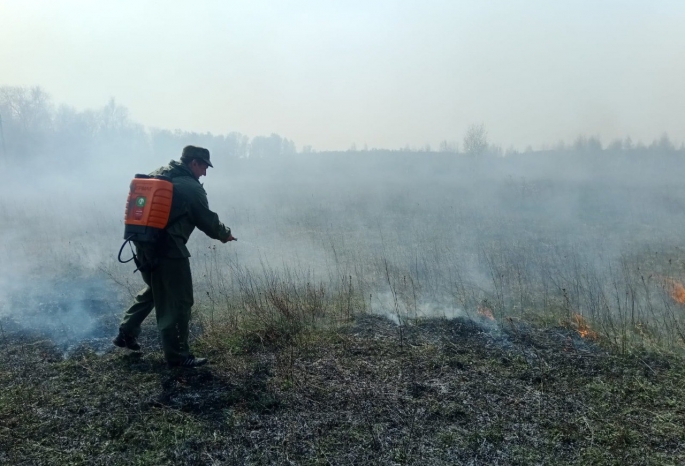 В Омской области разгорелся масштабный лесной пожар