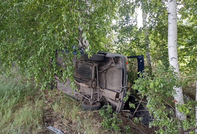 В Омской области двое мужчин скончались, врезавшись на авто в дерево 